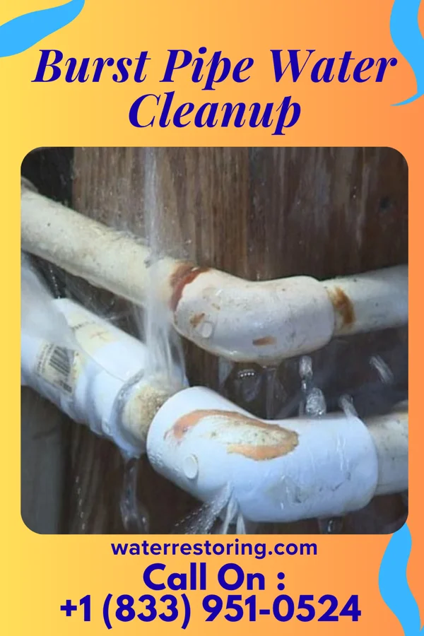 Burst Pipe Water Cleanup in Scottsville, KS