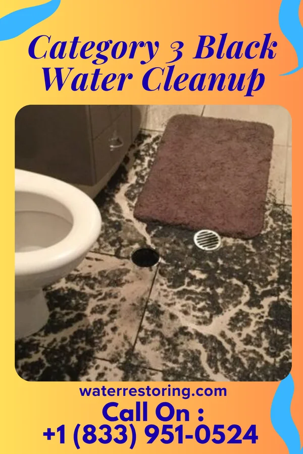 Category 3 Black Water Cleanup in Scottsville, KS