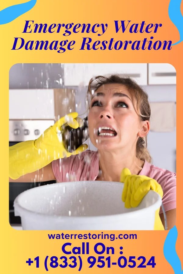 Emergency Water Damage Restoration in Scottsville, KS
