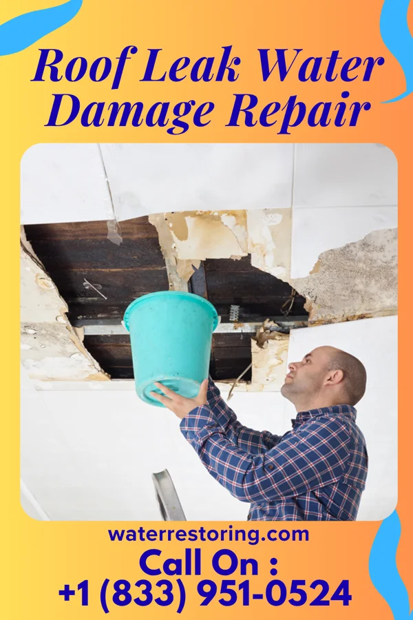 Roof Leak Water Damage Repair in Scottsville, KS